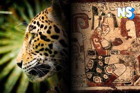  The Jaguar and the Priestess -  A Triumph of Mesoamerican Narrative and Exquisite Symbolic Detail!